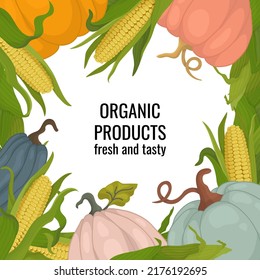 Banner square frame with corn on the cob and leaves and pumpkins and zucchini. Organic products poster or ad with place for text