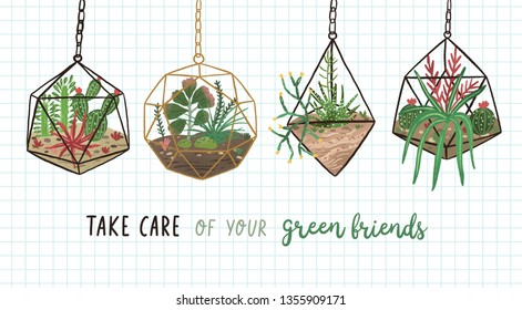 Banner with succulents, cactuses and other plants growing in hanging glass vivariums or florariums and Take Care Of Your Green friends. Home decor in modern Scandic style. Flat vector illustration.