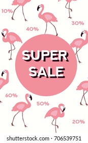 Banner Super Sale Flamingo on background
