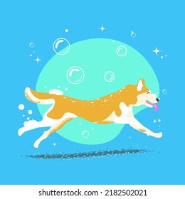Banner sweet dog in bubble bath for dog hair salon, dog grooming and grooming shop, pet shop, grooming spa. Use for content, greeting card, invitation. flat style