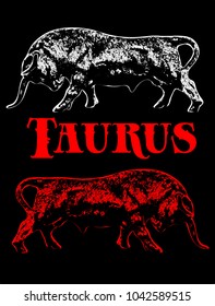 Banner Taurus, zodiac sign, silhouette of a bull with elements of red and white on a black background, vector