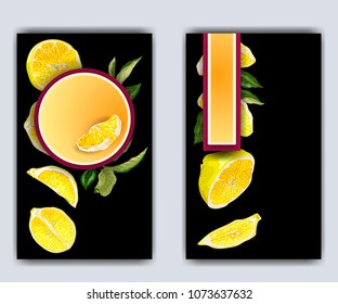 Banner template with citrus branches and slices and lemon fruit halves. Bright graphic drawings on black background with frames of different shapes