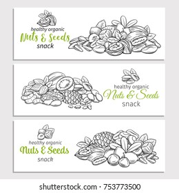 Banner template with hand drawn sketch nuts and seeds. Cola nut, pumpkin seed, peanut and sunflower seeds. Pistachio, cashew, coconut, hazelnut and macadamia. Vector illustration.