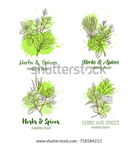 Banner template with hand drawn sketch herbs and spices for farmers market menu design. Vector illustration page decoration culinary herbs in ink retro style.