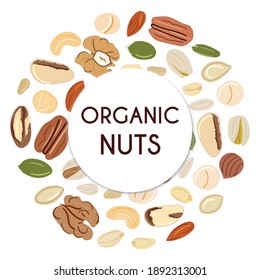 Banner template with nuts and seeds in circle. Kitchen, cooking print and banner. Cashews, almonds, pistachios, walnuts, pumpkin, sunflower seeds. Organic food. Hand drawn cartoon vector illustration