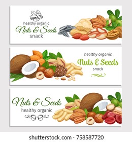 Banner template with nuts and seeds. Cola nut, pumpkin seed, peanut and sunflower seeds. Pistachio, cashew, coconut, hazelnut and macadamia. Vector illustration.