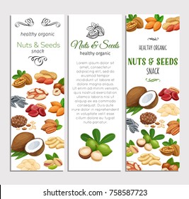 Banner template with nuts and seeds. Cola nut, pumpkin seed, peanut and sunflower seeds. Pistachio, cashew, coconut, hazelnut and macadamia. Vector illustration.