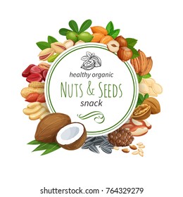 Banner template with nuts and seeds. Pistachio, cashew, coconut, hazelnut and macadamia. Cola nut, pumpkin seed, peanut and sunflower seeds. Vector illustration.