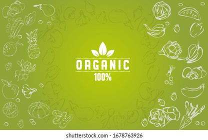 Banner template with organic vegetables vector image, green background 