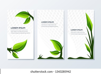 Banner Template. Presentation and Brochure