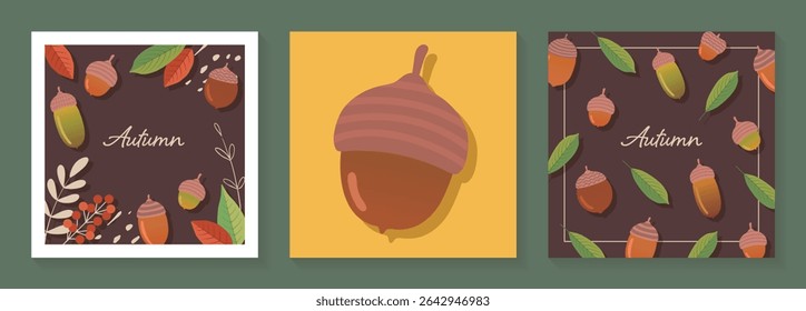 Conjunto de modelo de banner de ilustração de bolota simples