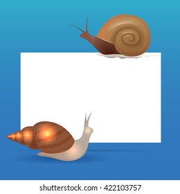 Banner template with snails and place for text. Vector element for your design. Snail Achatina and snail Marisa