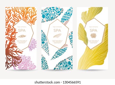 Banner template for special offers for organic shop, beauty salon, spa and seafood restaurant. Gift card or certificate with sea shells, algae and corals. Vector illustration