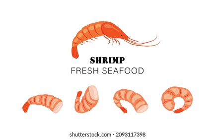 Banner with text and shrimps. Shell-on shrimp and a row of peeled shrimps. Vector illustration for the menu of fish restaurants, for packaging in markets and shops.