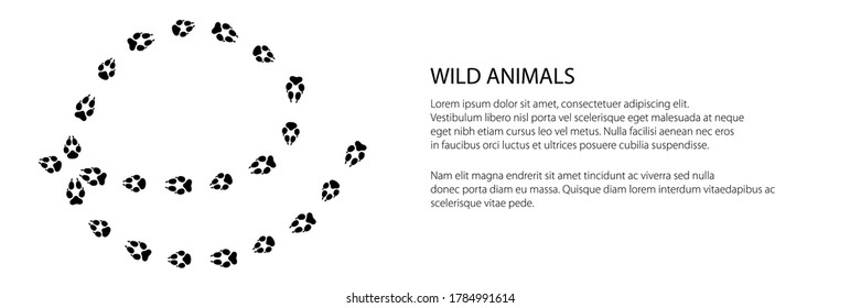 Banner of trace of forest animal, the trace of a predatory animal wolf, vector illustration