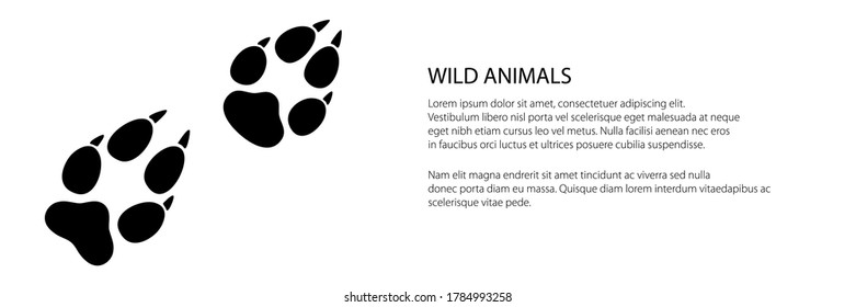 Banner of trace of forest animal, the trace of a predatory animal wolf, vector illustration