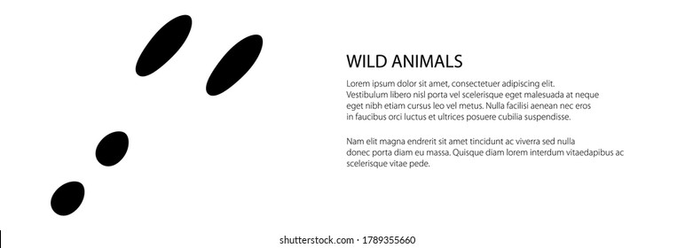 Banner of trace of forest animal, traces of hare, vector illustration