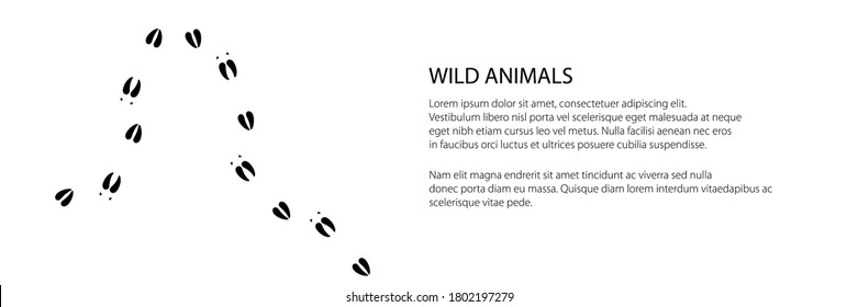 Banner of track of forest animal, trace of a moose animal , vector illustration