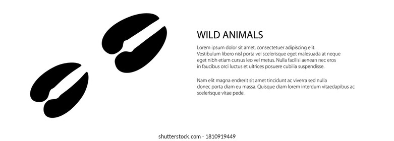 Banner of track of forest animal, trace of a roe deer animal , vector illustration