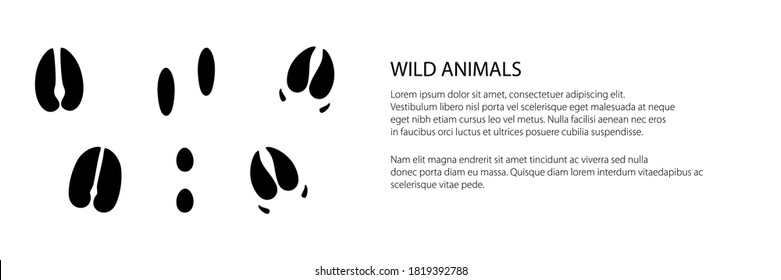 Banner of track of forest animals, traces of a deer and a boar and a hare , vector illustration