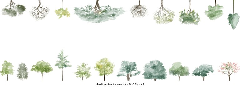 banner Tree watercolor, Side view green painting, set of graphics trees elements outline symbol for architecture and landscape design drawing. Vector illustration in stroke fill . Tropical, oak, maple