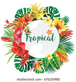 Banner from tropical and flowers