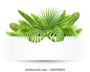 Banner with tropical leaves. Foliage of exotic plants. Vector realistic illustration for decorating a greeting card, invitation or flyer.
