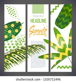 Banner with tropical leaves and geometric shapes, natural nature of fox palm trees and ornamental plants