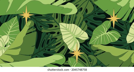 Banner with tropical leaves. Monstera, philodendron and banana leaves on a dark background with small lights in the rainforest. 