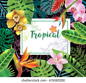 Banner from tropical plants