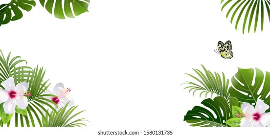 banner of tropical plants and butterfly on a white background