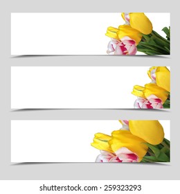 Banner with tulips