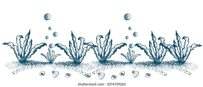 Banner underwater world, vector illustration