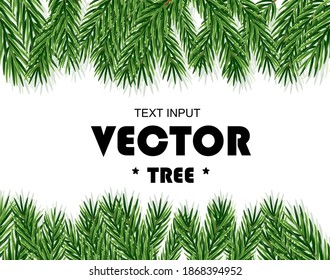 Banner with vector Christmas tree branches and center space for text. Realistic pine border.