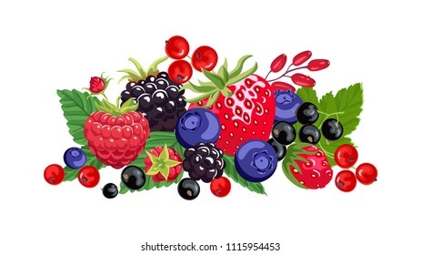 Banner with vector forest different berries and green leaves. Strawberries, raspberries, blueberries, currants, barberry, blackberries isolated on white background. Flat style.