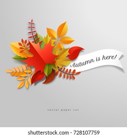 Banner. Vector illustration with 3d paper cut composition of autumn leaves. Inscription Autumn is here.