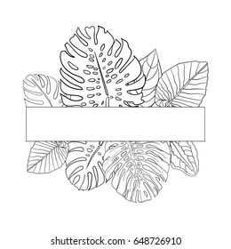 Banner of vector monochrome tropical plants leaves on white background. Greeting card and design element