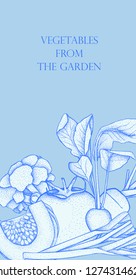 Banner with vector vegetables. Concept healthy food. Onion, pumpkin, leek, broccoli, carrot, tomato, radish.