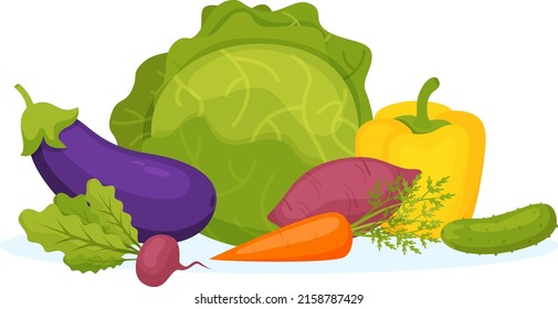 Banner with vector vegetables. Healthy food concept.Banner with vector vegetables. Healthy food concept. Pumpkin, onion, avocado, sweet potato, zucchini, radish, cucumber, cabbage, lettuce, broccoli, 