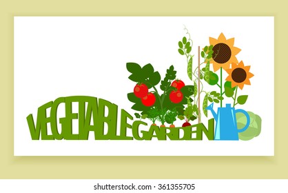 Banner a vegetable garden vegetables in the garden, and text, country garden, bedding plants, vector illustration