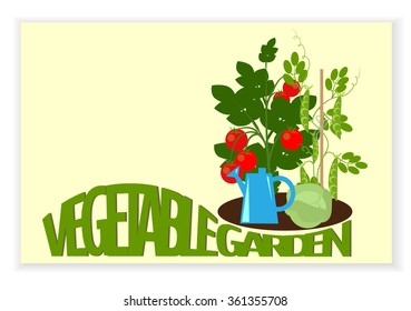 Banner a vegetable garden vegetables in the garden, and text, country garden, bedding plants, vector illustration