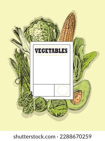 Banner of vegetables. The old vector background is drawn. Ideal for menu, printing.