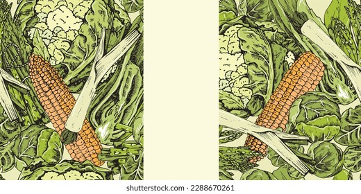Banner of vegetables. The old vector background is drawn. Ideal for menu, printing.