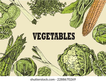 Banner of vegetables. The old vector background is drawn. Ideal for menu, printing.