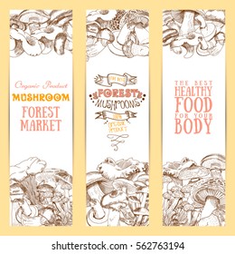 Banner vertical set mushrooms for  shop. Banner sketch hand drawn collection of healthy food. Forest mushrooms: chanterelles, morels, russulas, porcini, honey mushrooms. Vector illustration.