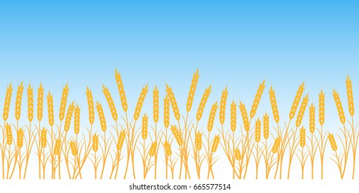 banner wheat field on blue sky background vector concept of harvest and agriculture Ukraine