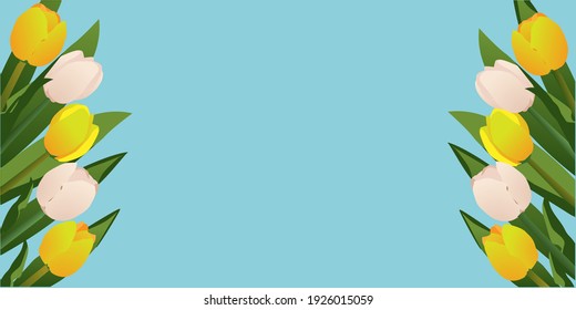 Banner of yellow and white tulips isolated on a blue background. Vector illustration. Suitable for postcards, banners, greetings, promotions
