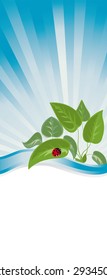 a banner with the young plants and ladybug