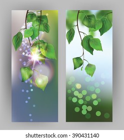 Banners with birch branches. Vector illustration