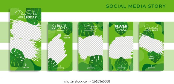 Banners Bundle Kit Set Of Social Media Story Instagram, Facebook, Monstera Green Trendy. Poster, Flyer, Coupon, Layout Composision Golden, Smartphone Templates Geometric Sale Banner Background Eps 10